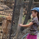  03 04Chiangmai1008